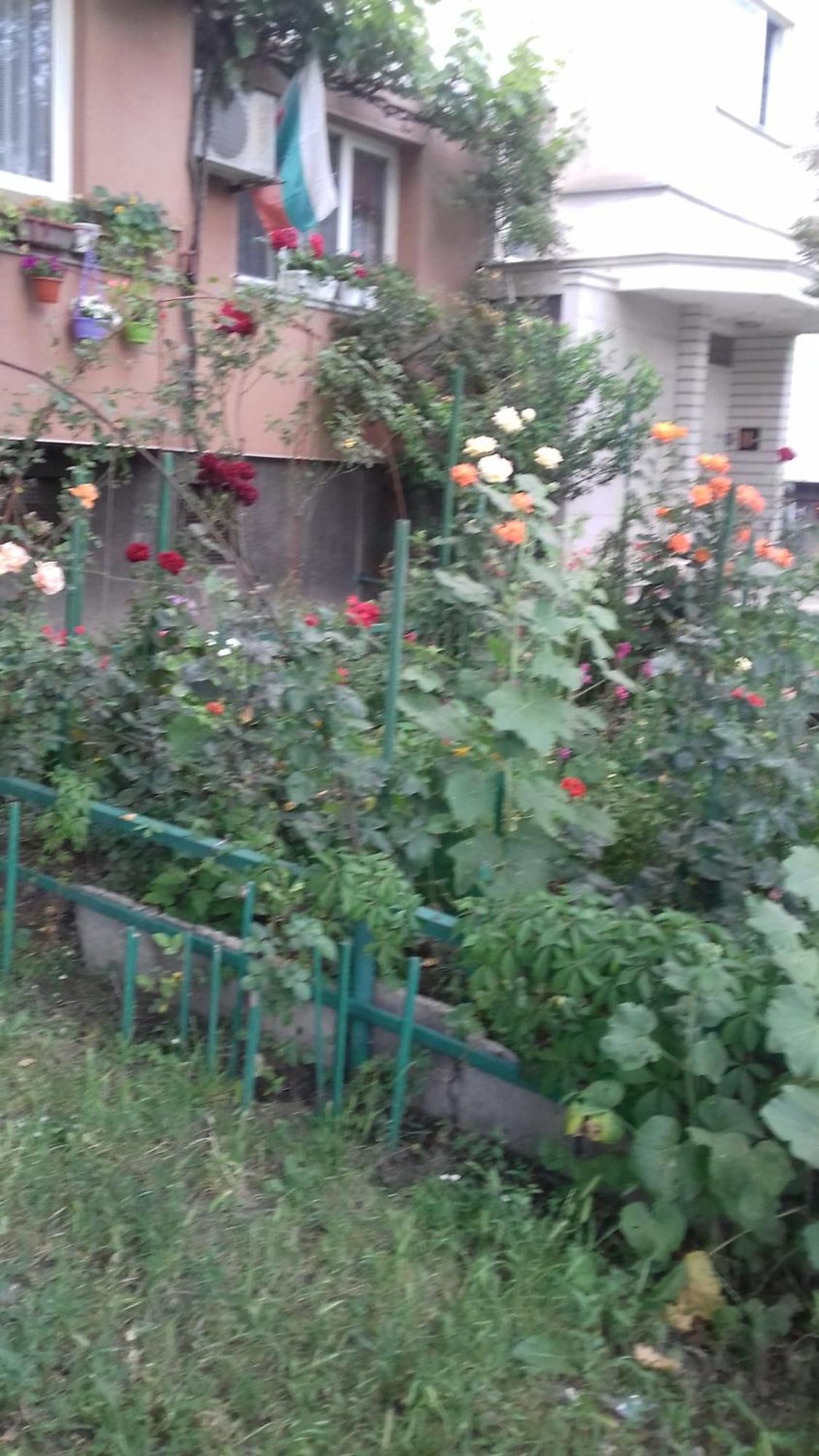 Mvk Ξενοδοχείο Σόφια Εξωτερικό φωτογραφία